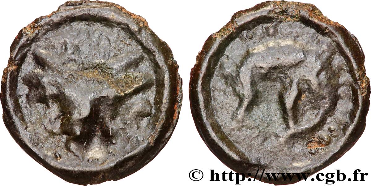 GALLIA BELGICA - REMI (Area of Reims) Potin au bucrane VF