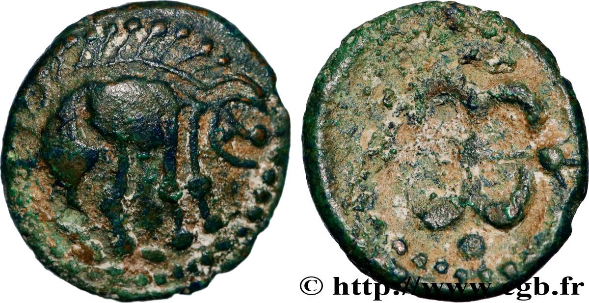 VELIOCASSES (Area of Norman Vexin) Bronze au sanglier et au fleuron XF
