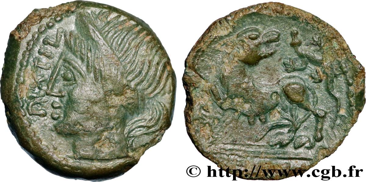 GALLIA - CARNUTES (Beauce area) Bronze PIXTILOS classe II à la louve et au lézard AU/XF