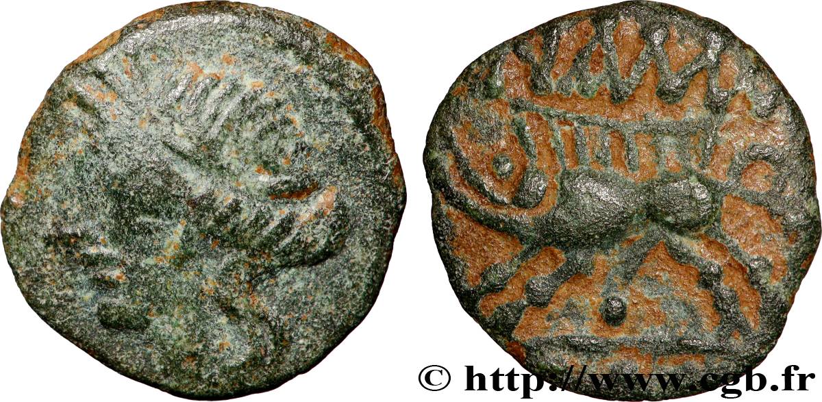 NEMAUSUS - NÎMES Bronze au sanglier NAMA SAT XF