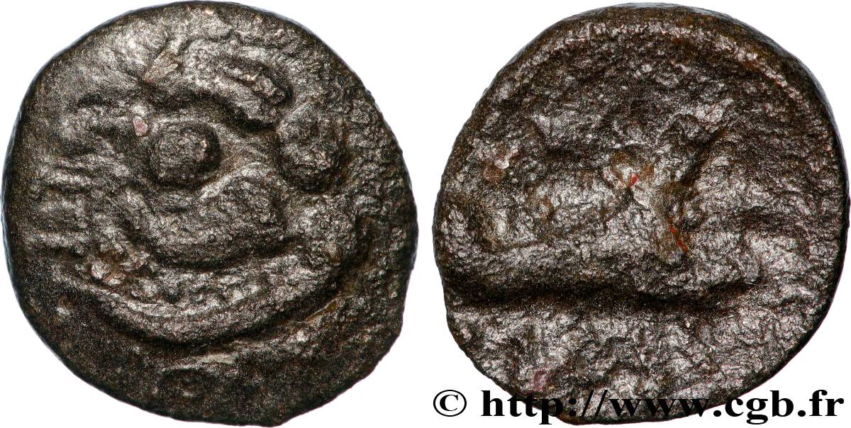 GALLIEN - SÜDWESTGALLIEN - SOTIATES (Region die Sos) Drachme au loup fSS