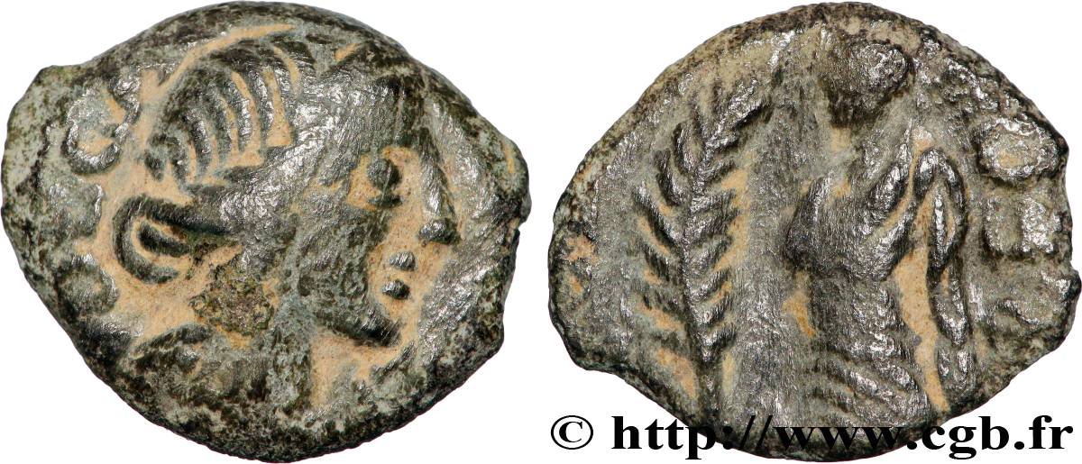GALLIA - VOLCÆ ARECOMICI (Area of Nîmes) Bronze au Démos, VOLCAE AREC XF