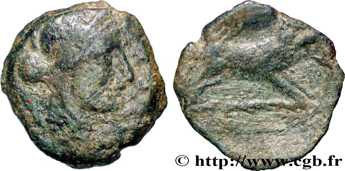 TURONES (Area of Touraine) Bronze AGVSSROS au sanglier VF
