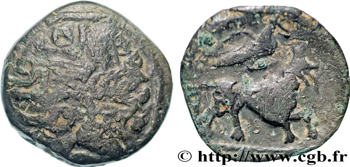 GALLIA - CARNUTES (Area of the Beauce) Bronze COIIAT, lion à droite VF