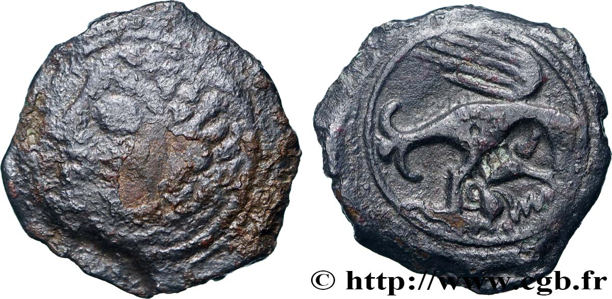 CARNUTES (Région de la Beauce) Bronze ou potin (?) à l’aigle et au sanglier TB+/SUP