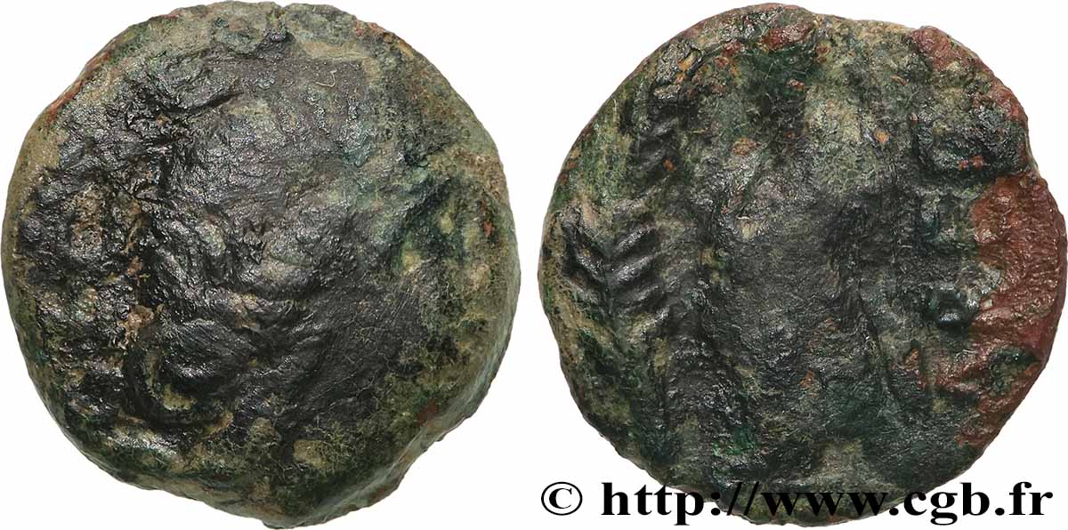 GALLIA - VOLCÆ ARECOMICI (Area of Nîmes) Bronze au Démos, VOLCAE AREC VF/VF