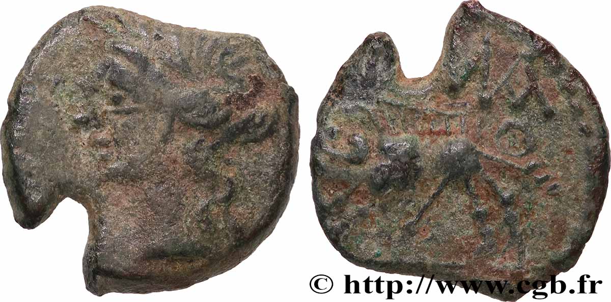 NEMAUSUS - NÎMES Bronze au sanglier NAMA SAT XF/VF