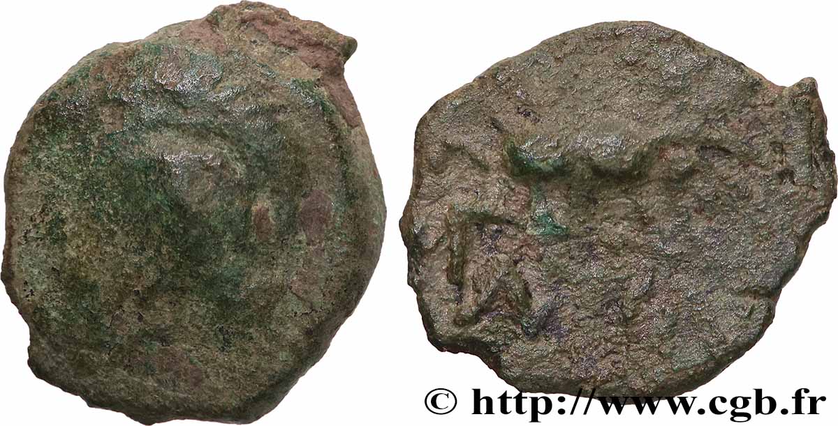 NEMAUSUS - NISMES Bronze au sanglier NAMA SAT VG/VF