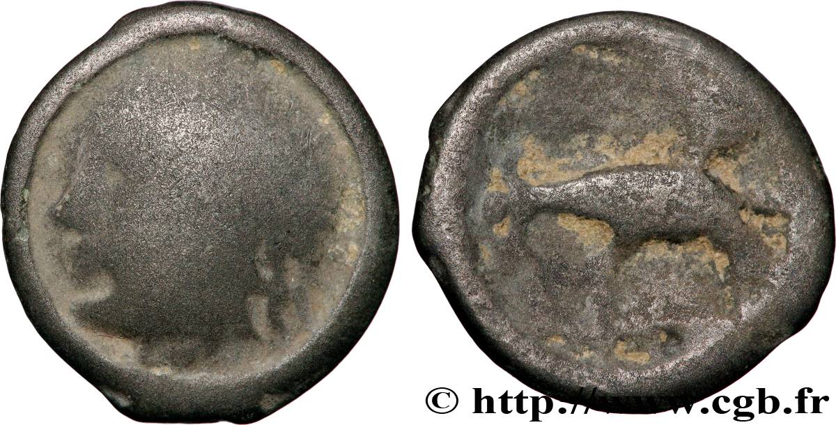 GALLIA - CARNUTES (Area of the Beauce) Bronze ou potin (?) à l’aigle et au sanglier VG