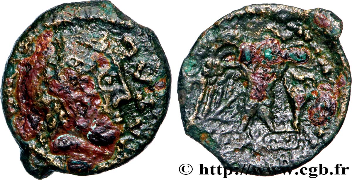 CARNUTES (Région de la Beauce) Bronze CATAL à l’aigle et à l’amphore TB+