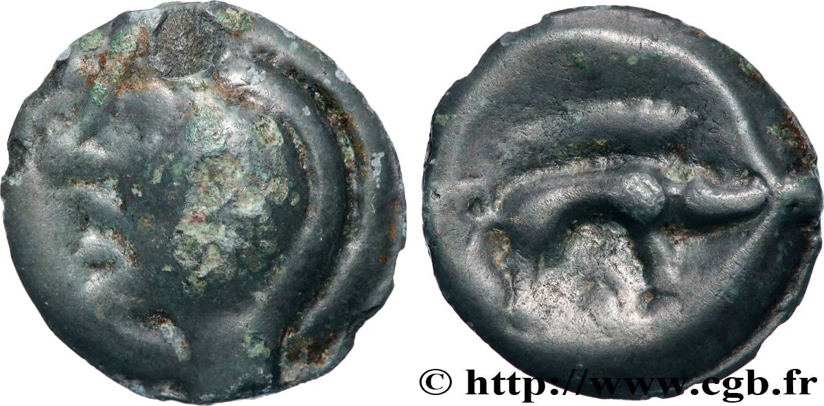 AULERQUES ÉBUROVICES (Région d Évreux) Potin à la tête et au sanglier réaliste TTB