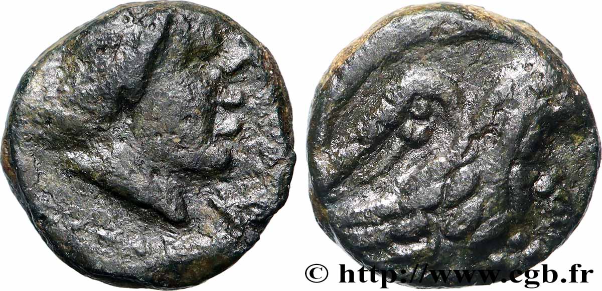 MASSALIA - MARSEILLE Petit bronze à l’aigle TTB/TTB+