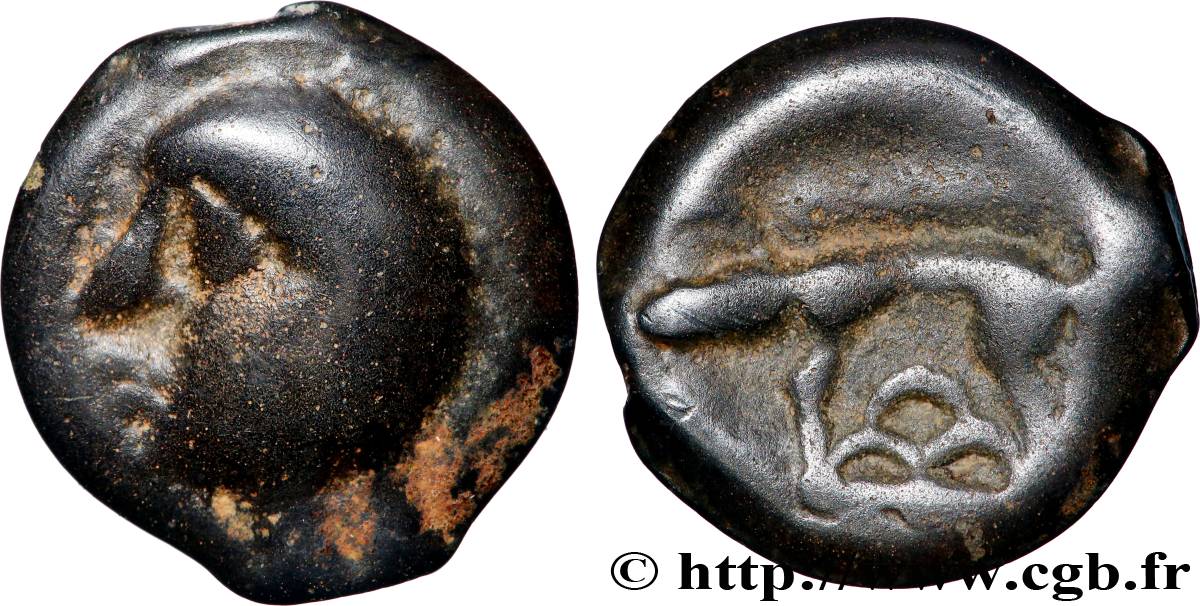 HIGH AND MIDDLE SEINE Potin à la tête chauve XF