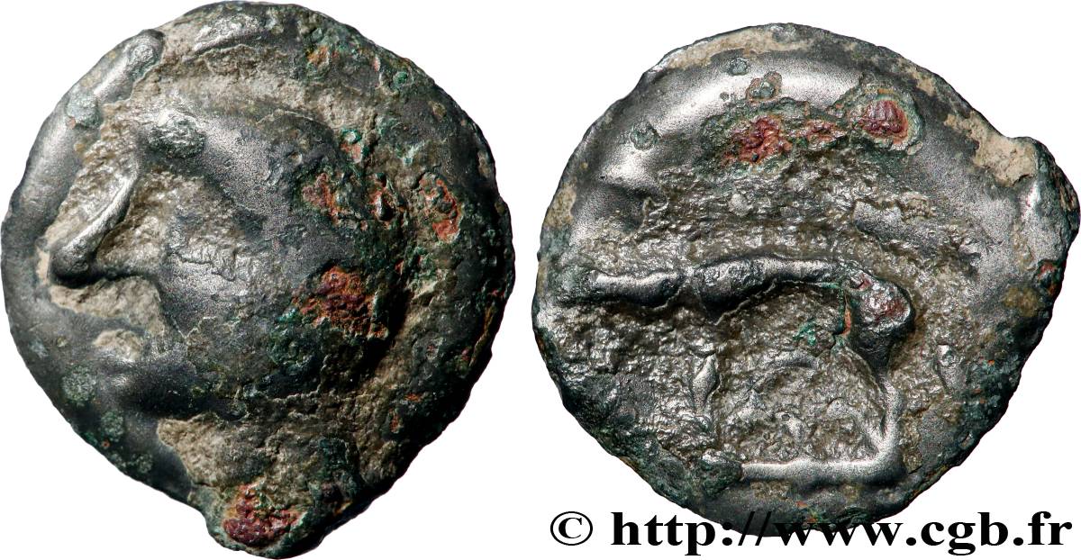 HAUTE ET MOYENNE SEINE Potin à la tête chauve TTB