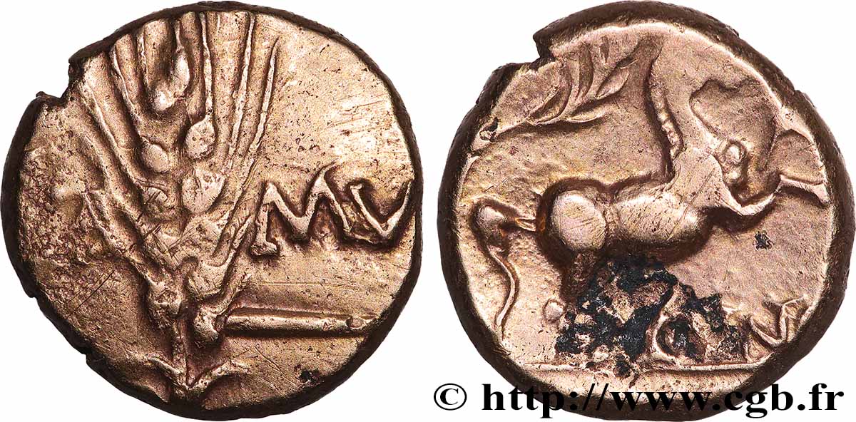 BRETAGNE - CATUVELLAUNI et TRINOVANTES Statère d&nbsp;or CAMV à l&nbsp;épi TTB