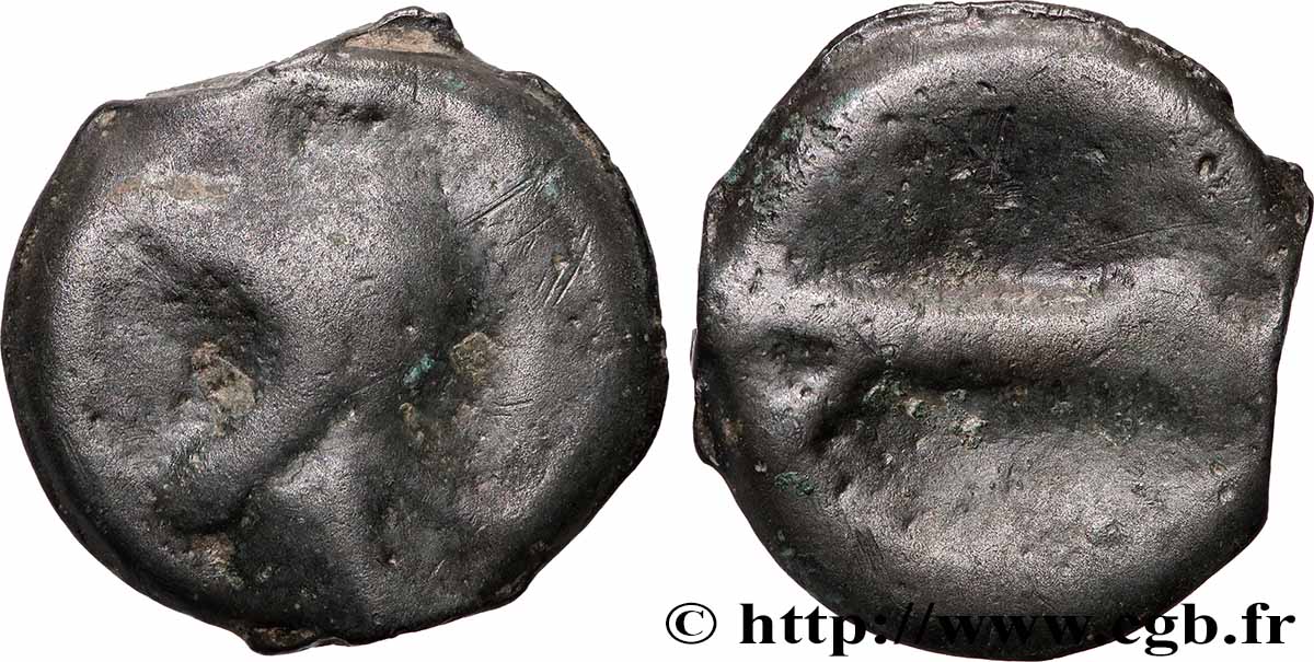 LOIRE MOYENNE Potin dégénéré aux croissants S