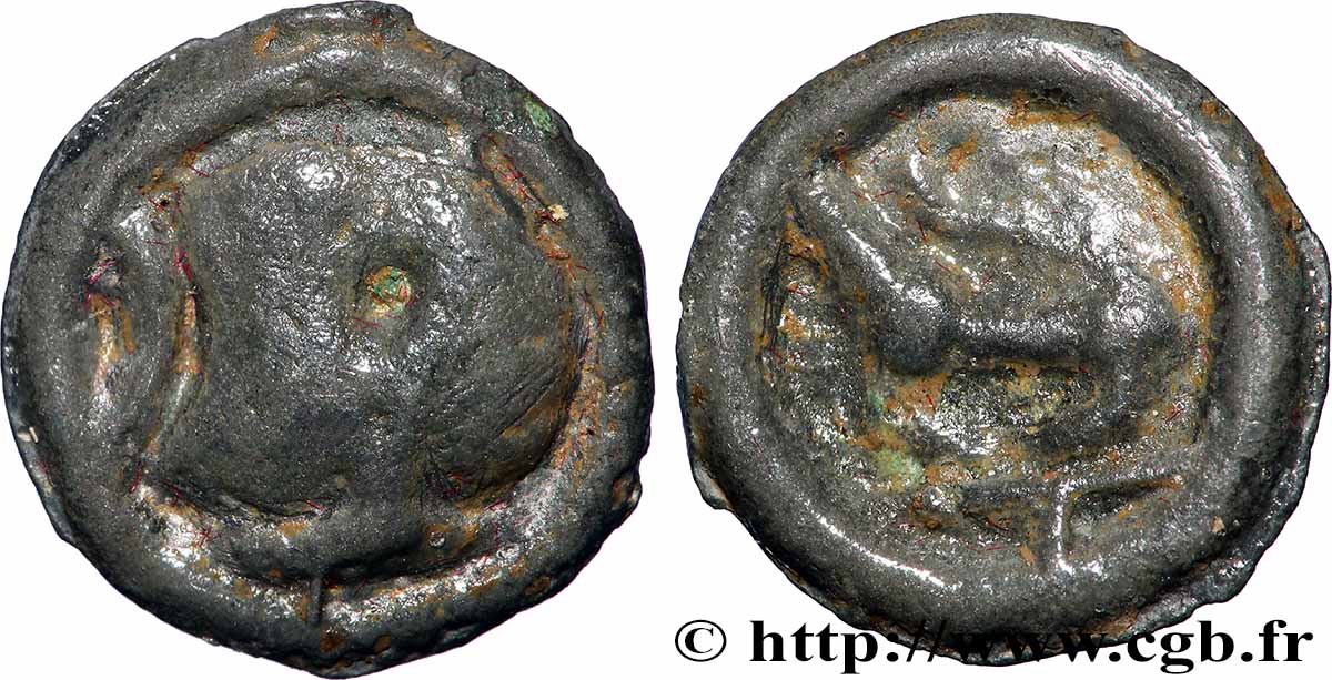 VALLÉE DU RHÔNE Potin au long cou TTB