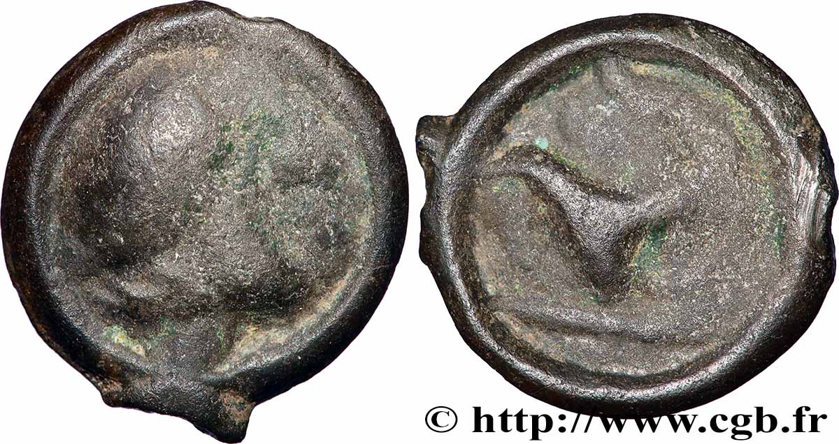 VALLÉE DU RHÔNE Potin au long cou TB+