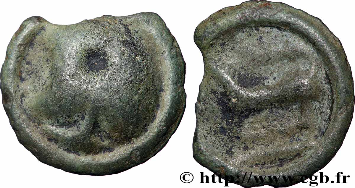 GALLIA - RHONE VALLEY Potin au long cou XF