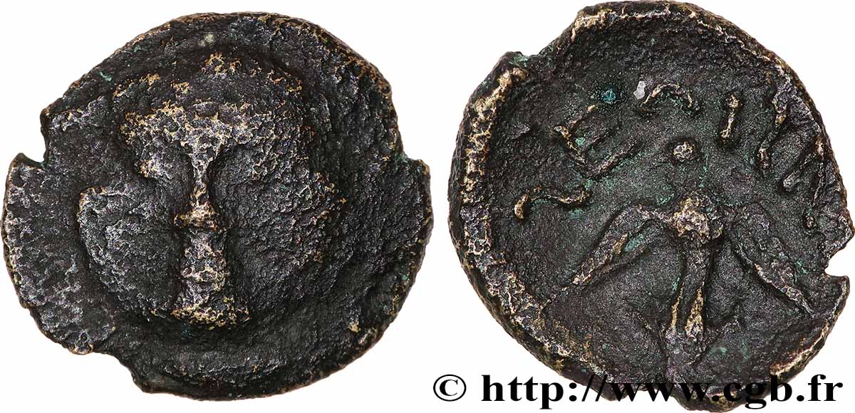 SEGUSIAVI / ÆDUI, Unspecified (Area of Feurs (Forez) / Mont-Beuvray) Bronze SECISV à la tête de face VF/XF