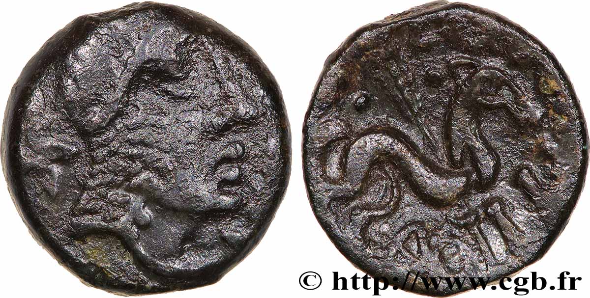 LEXOVII (Area of Lisieux) Bronze LIXOVIATIS au cheval et à la rouelle VF/XF