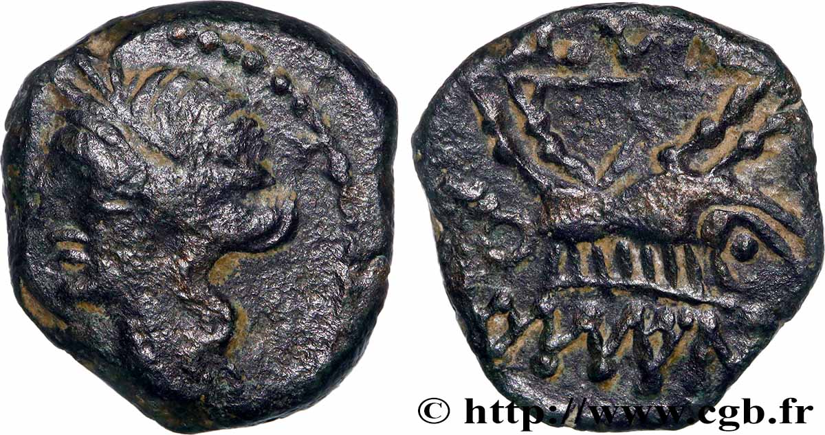 NEMAUSUS - NISMA Bronze au sanglier NAMA SAT BB