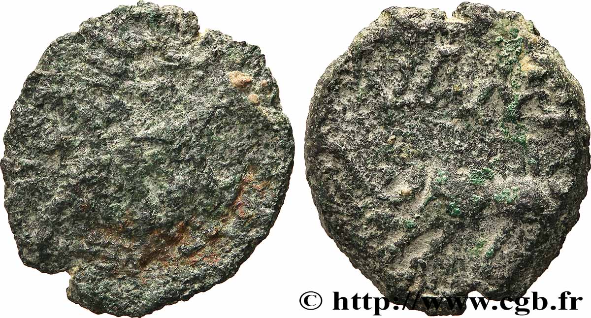 NEMAUSUS - NISMES Bronze au sanglier NAMA SAT VF