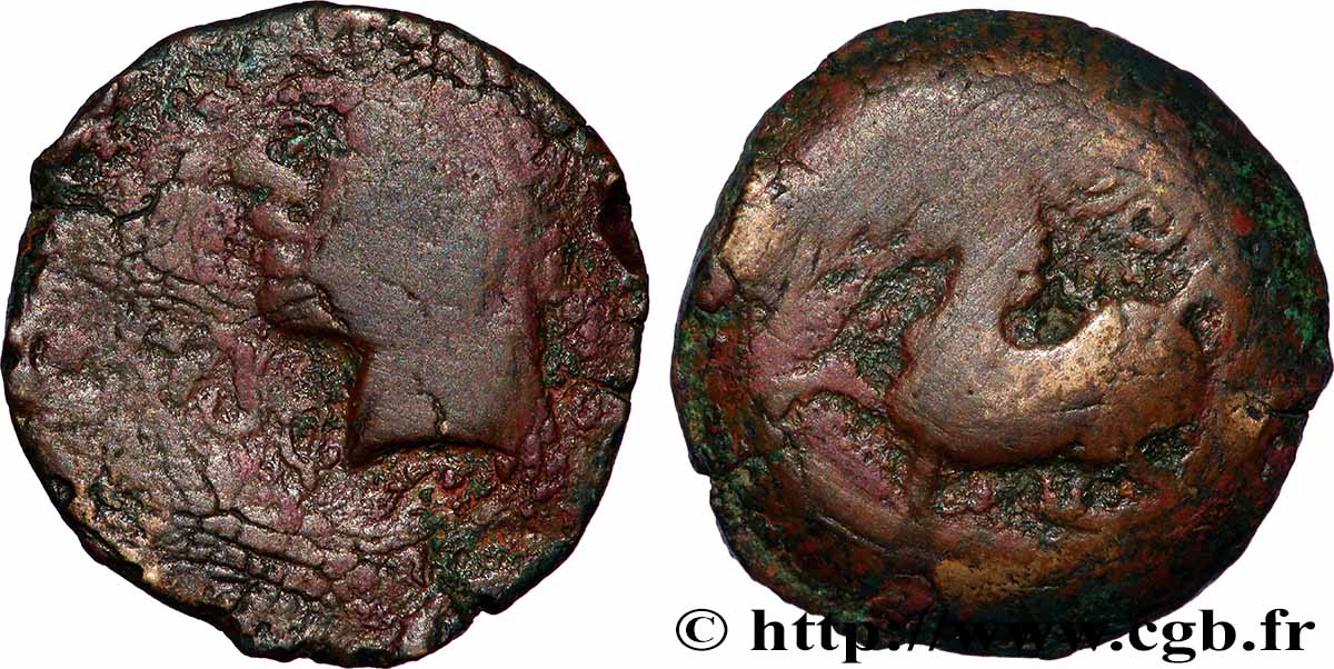 GALLIA - ARVERNI (Regione di Clermont-Ferrand) Bronze ADCANAVNOS q.BB