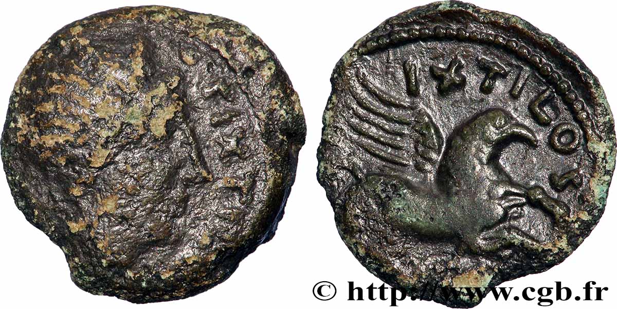 GALLIA - CARNUTES (Beauce area) Bronze PIXTILOS classe VI au griffon courant VF/XF