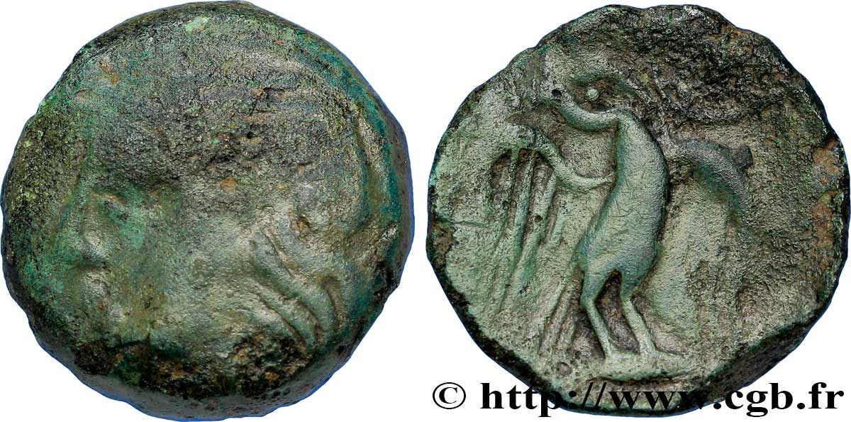 GALLIA - CARNUTES (Regione della Beauce) Bronze lourd à l’aigle et au croissant MB/q.BB
