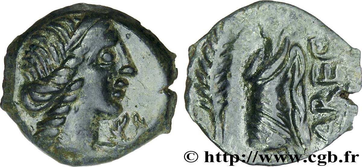 GALLIA - VOLCÆ ARECOMICI (Area of Nîmes) Bronze au Démos, VOLCAE AREC AU/XF