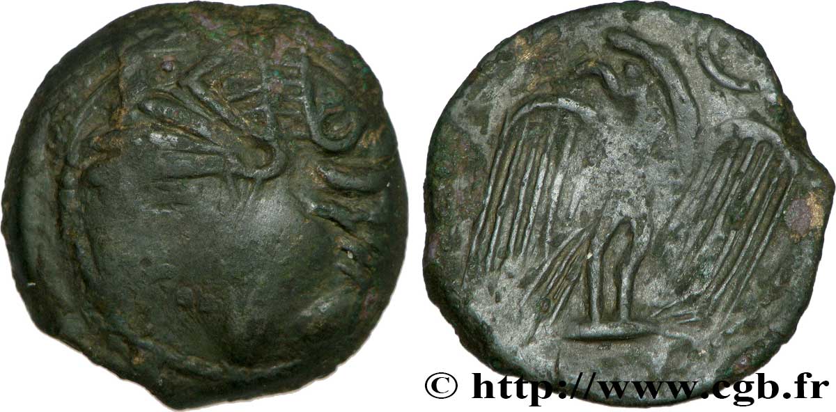 GALLIA - CARNUTES (Región de la Beauce) Bronze lourd à l’aigle et au croissant BC/BC+