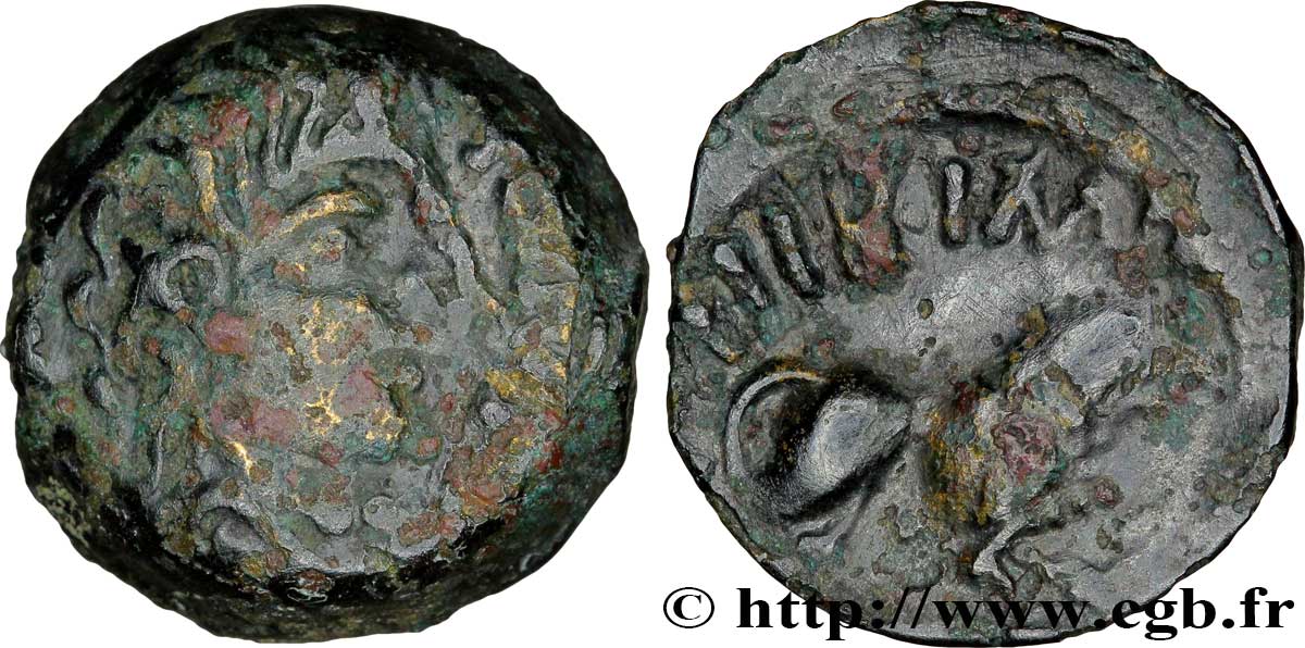 REMI / CARNUTES, Unspecified Bronze AOIIDIACI / A.HIR.IMP au lion fSS/SS