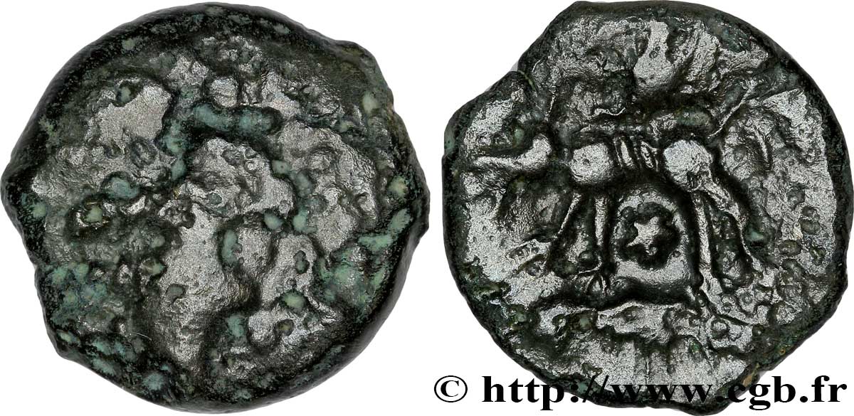 GALLIA - CARNUTES (Beauce area) Bronze au loup, tête à droite VF/XF
