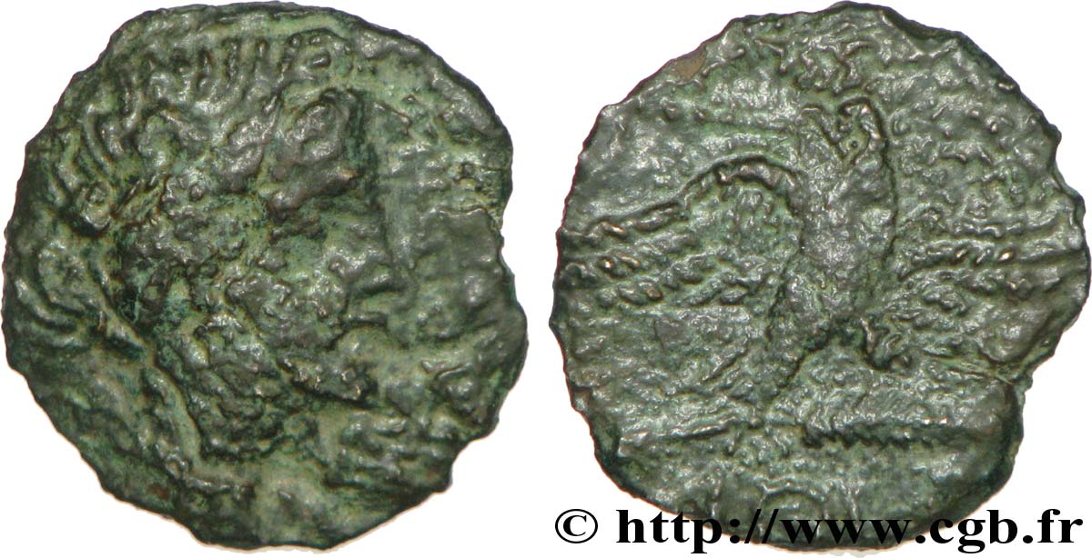 GALLIA - SUDOESTE DE GALLIA VOLCÆ ARECOMICI (Región de Nisma) Bronze AR / VOLC, à l aigle BC