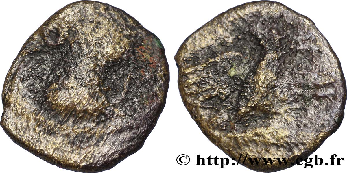 GALLIA - SUDOESTE DE GALLIA VOLCÆ ARECOMICI (Región de Nisma) Bronze AR / VOLC, à l aigle RC+