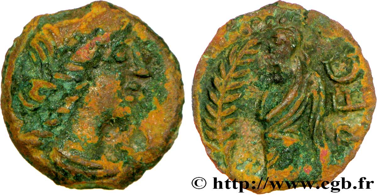 VOLQUES ARÉCOMIQUES (région de Nîmes) Bronze au Démos, VOLCAE AREC TB+/TTB
