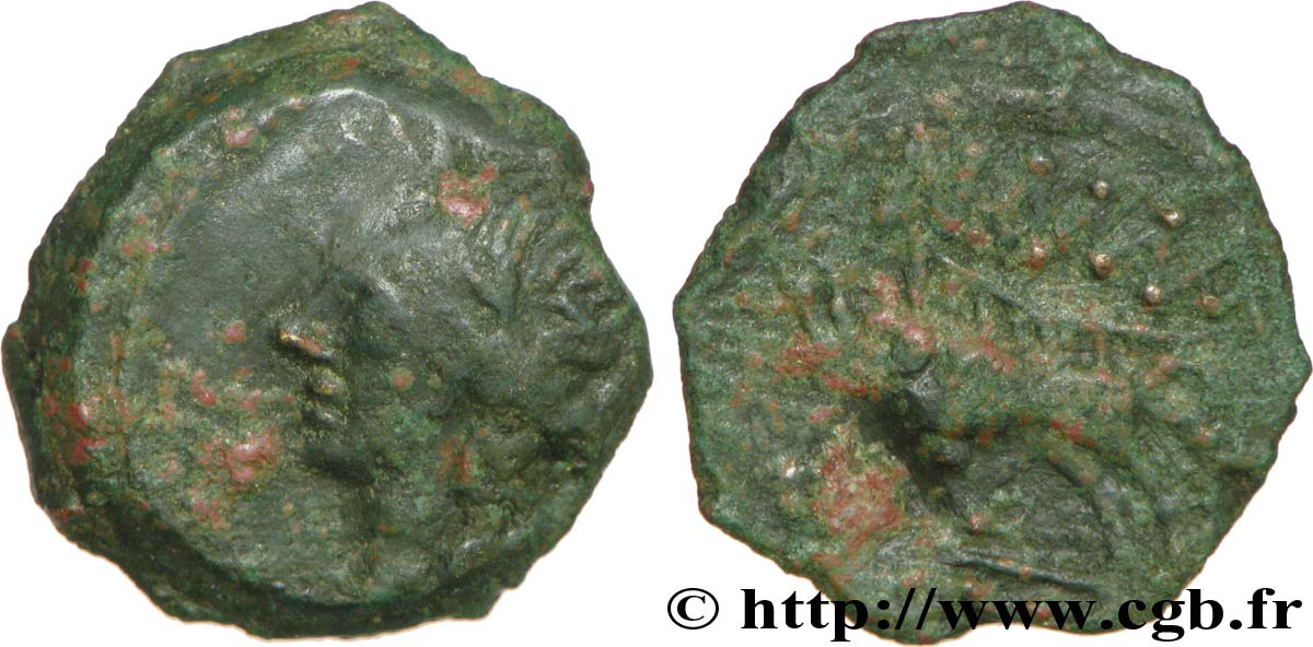 NEMAUSUS - NIMES Bronze au sanglier NAMA SAT fSS