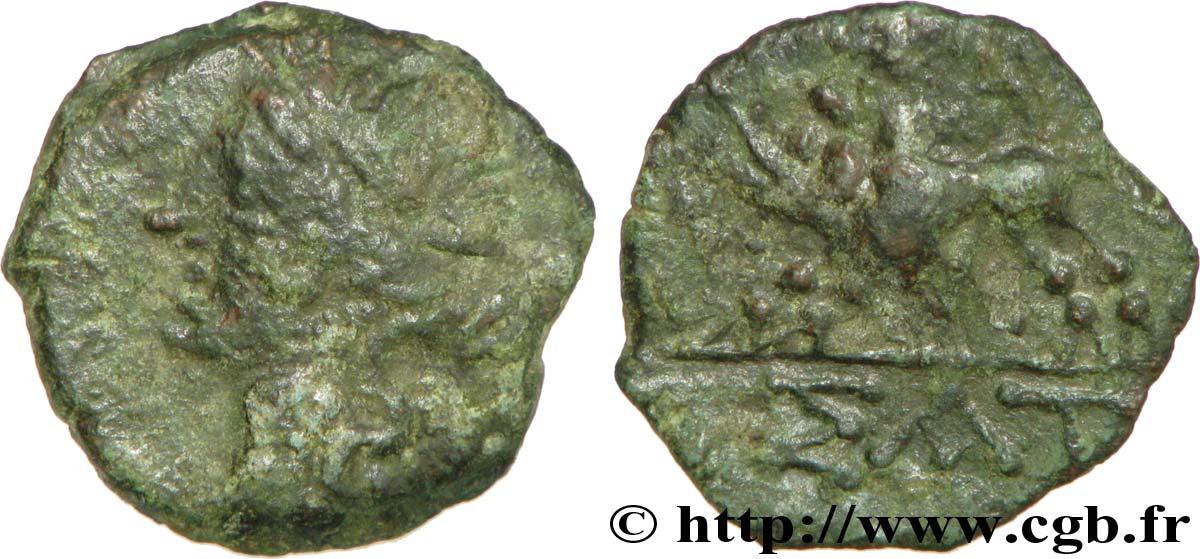NEMAUSUS - NIMA Bronze au sanglier NAMA SAT BC/BC+