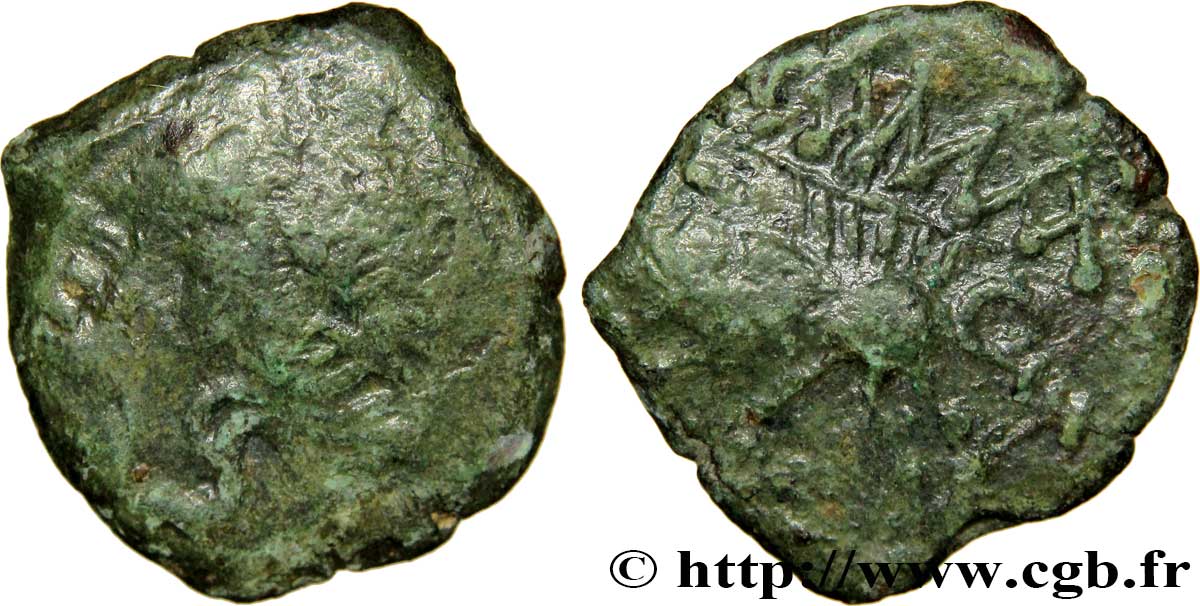 NEMAUSUS - NISMA Bronze au sanglier NAMA SAT MB/q.BB