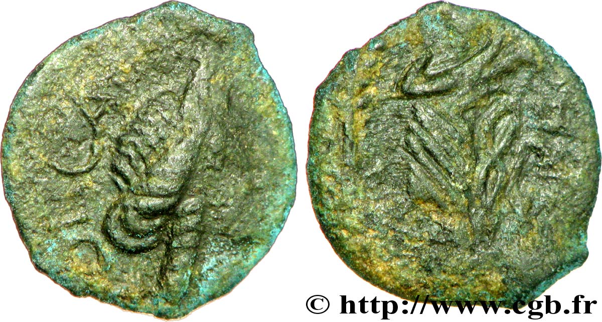 GALLIA - SUDOESTE DE GALLIA VOLCÆ ARECOMICI (Región de Nisma) Bronze au Démos, VOLCAE AREC BC