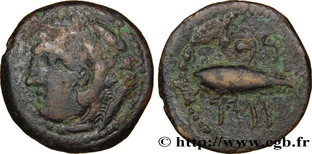 ESPAGNE - GADIR/GADES (Provincia of Cadiz) Calque de bronze à la tête de Melqart et au thon VF