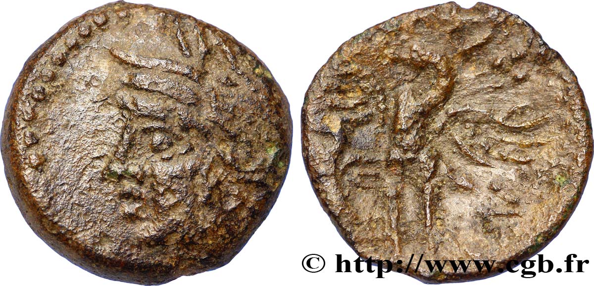 GALLIA - BITURIGES CUBI (Región de Bourges) Bronze CALIAGIID à l’aiglon BC+/BC