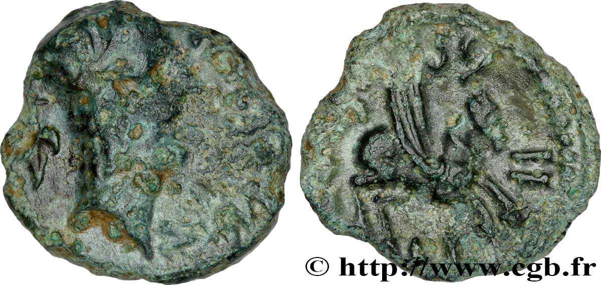 GALLIA - CARNUTES (Regione della Beauce) Bronze TASGIITIOS q.MB/MB