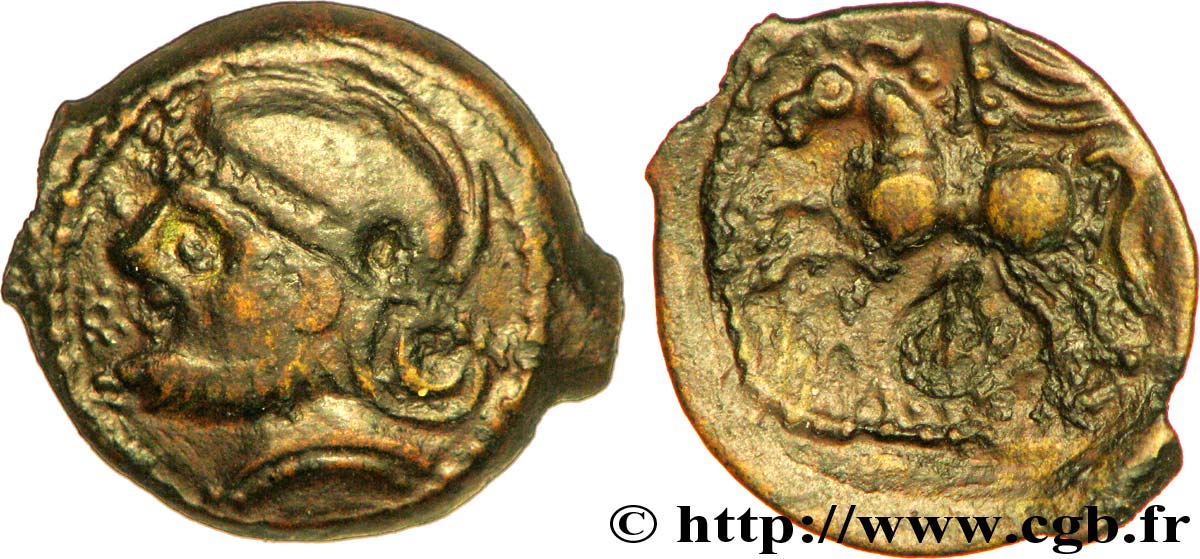 GALLIA BELGICA - SUESSIONES (Regione de Soissons) Bronze CRICIRV, barbu q.SPL/BB