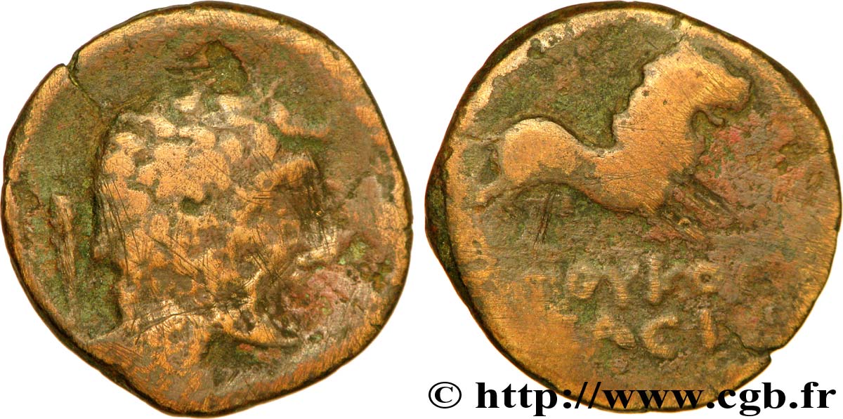 GALLIA - SOUTH WESTERN GAUL - LONGOSTALETES (Area of Narbonne) Bronze BITOYIOC BACIAEYC VF