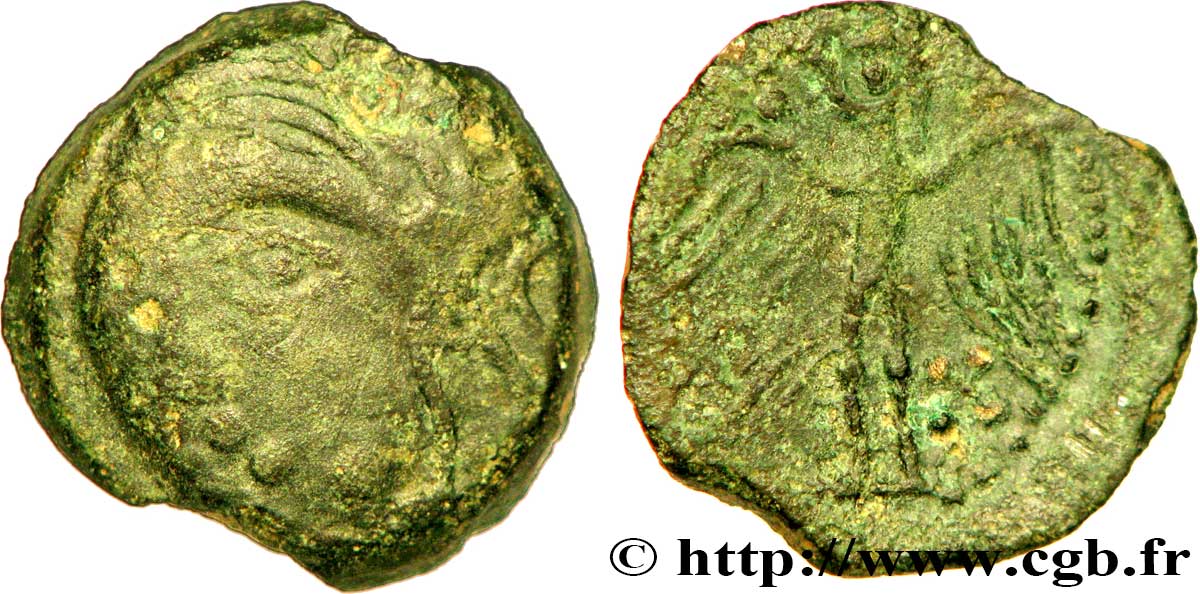 GALLIA - CARNUTES (Región de la Beauce) Bronze à l’aigle BC