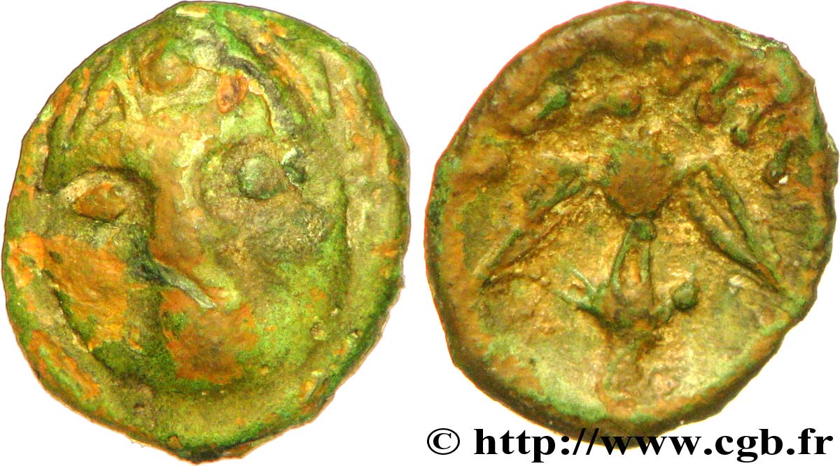SEGUSIAVI / ÆDUI, Unspecified (Area of Feurs (Forez) / Mont-Beuvray)
 Bronze SECISV à la tête de face XF/AU