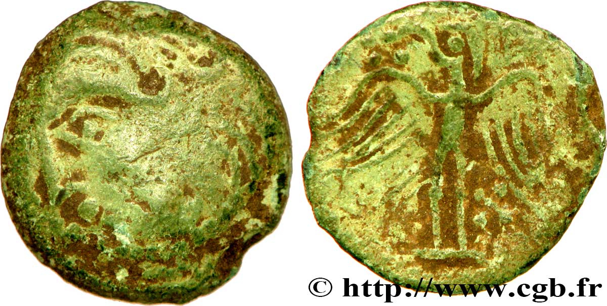 GALLIA - CARNUTES (Región de la Beauce) Bronze à l’aigle RC+/BC