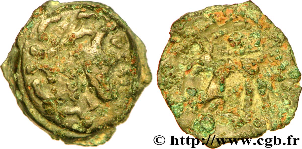 GALLIA - CARNUTES (Región de la Beauce) Bronze au loup, tête à droite BC